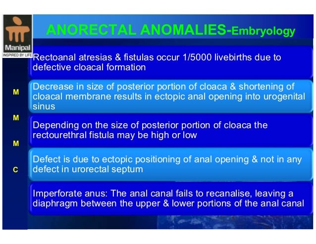 Ectopic anal canal pic 719